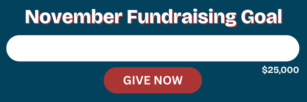 November Goal Update