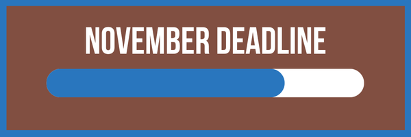 November Goal Thermometer