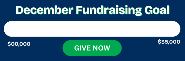 December Goal Thermometer - $11,350 / $35,000