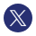 X Icon