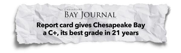 "Report card gives Chesapeake Bay a C+, its best grade in 21 years" - Chesapeake Bay Journal