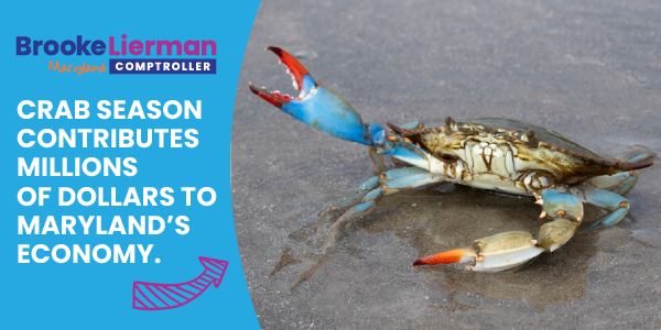 Crab season contributes millions of dollars to Maryland's economy.