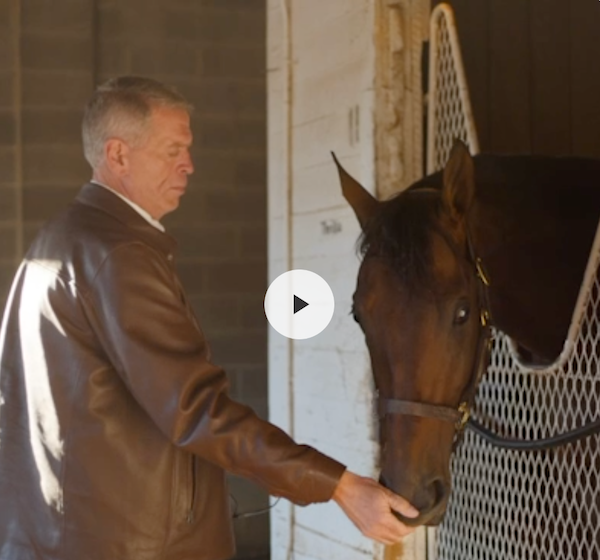 Dale Romans Video Screenshot