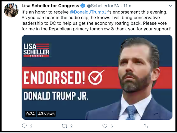 Lisa Scheller is Endorsed by Donald Trump Jr.