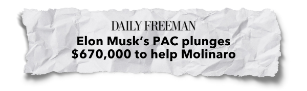 "Elon Musk's PAC plunges $670,000 to help Molinaro" - Daily Freeman