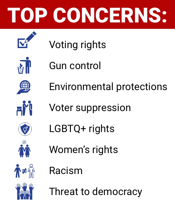 Top Voting Concerns include: voting rights, gun control, environment