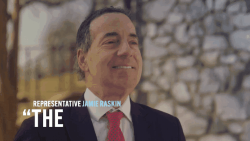 Representative Jamie Raskin saying "The attacks on April are Baloney"