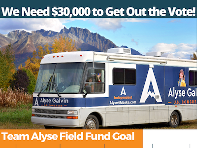 Team Alyse Field Fund Goal