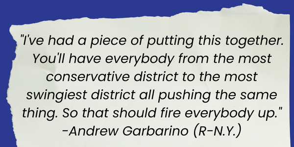 "I've had a piece of putting this together," said Rep. Andrew Garbarino (R-N.Y.). "You'll have everybody from the most conservative district to the most swingiest district all pushing the same thing. So that should fire everybody up."
