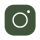 Insta Icon