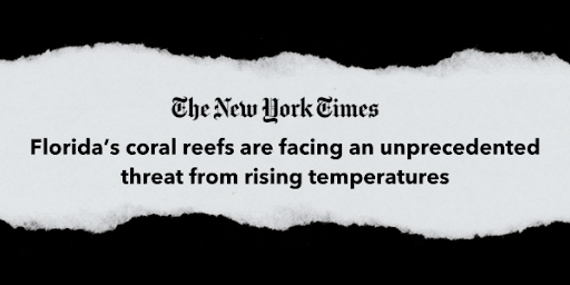 NYT Headline: Florida's coral reefs are facing an unprecedented threat from rising temperatures