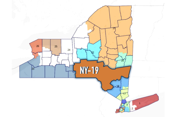 Map of NY congressional districts with NY-19 outlined