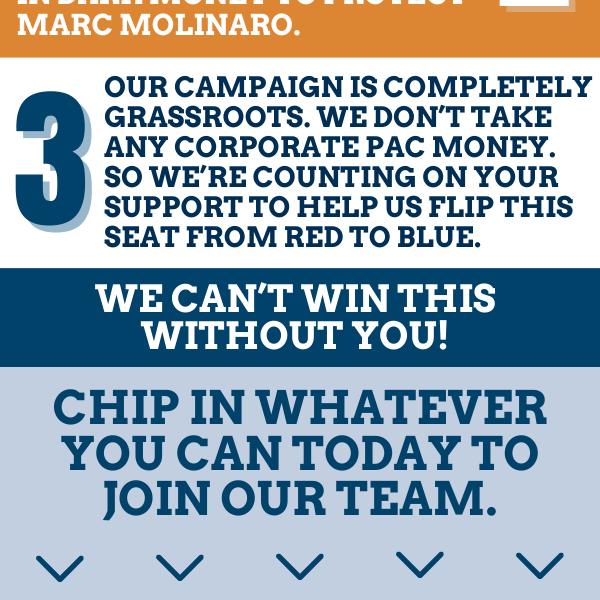 3. Our campaign is completely grassroots. We don't take any corporate PAC money. So we're counting on your support to help us flip this seat from red to blue.  We can't win this without you!  Chip in whatever you can today to join our team.