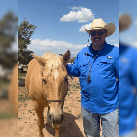 Gif of Sam Bregman and his horse Fuego, captioned "Neigh"