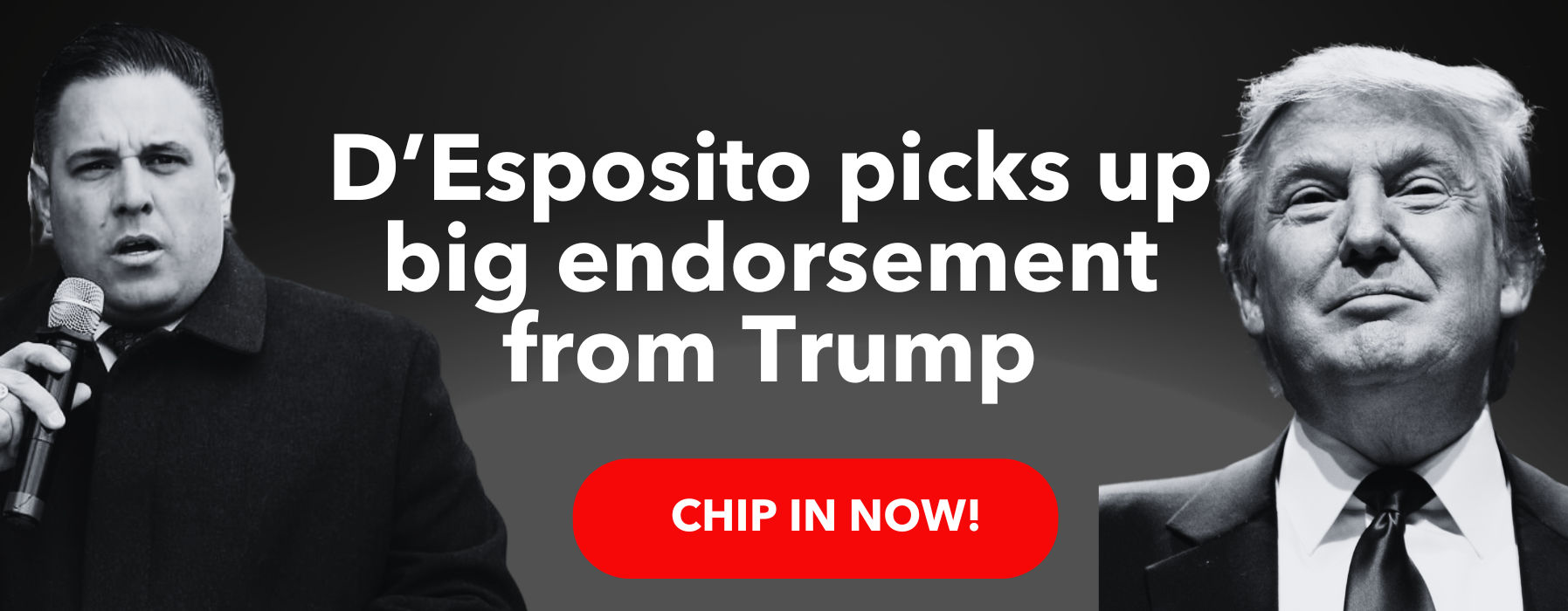 D'Esposito picks up big endorsement from Trump