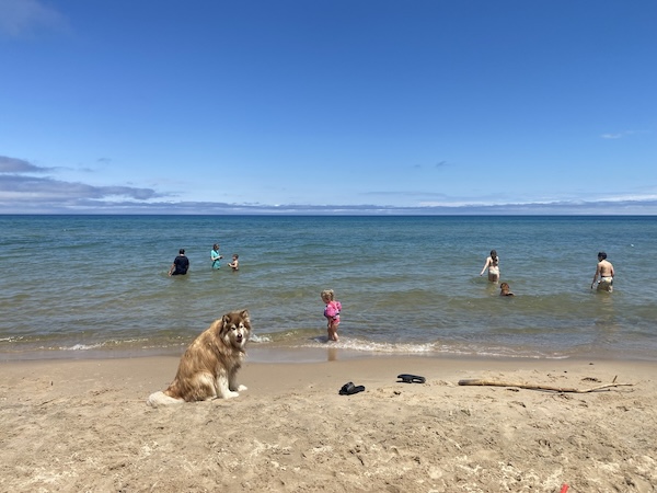 Picture of Maloo and the lake behind.