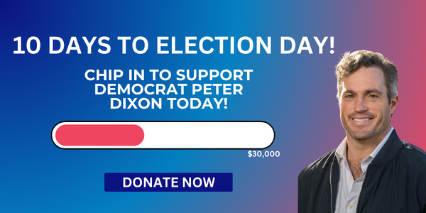 10 Days to Election Day! Chip in to support Democrat Peter Dixon today! 