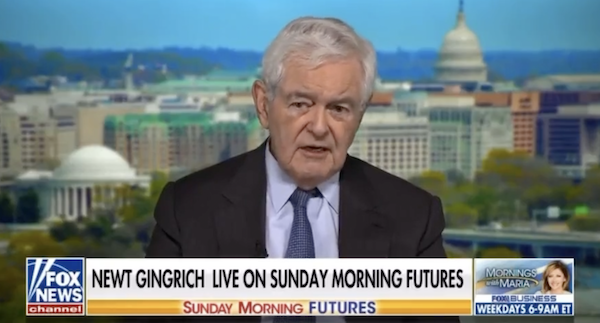 Image of Newt Gingrich on Fox News