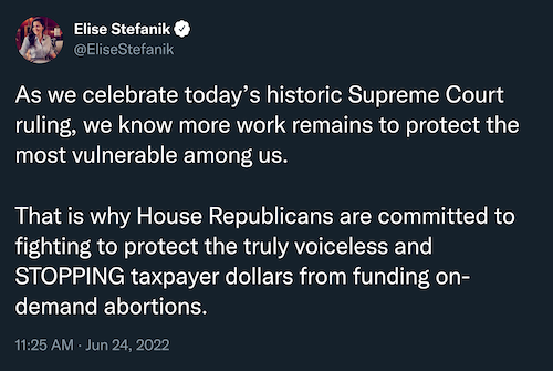 "As we celebrate today's historic Supreme Court ruling, we know more work remains to protect the most vulnerable among us. That is why House Republicans are committed to fighting to protect the truly voiceless and STOPPING taxpayers dollars from funding on-demand abortions" -Elise Stefanik