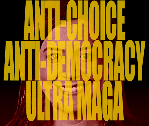 SEFANIK "Anti-Choice Anti-democracy Ultra-MAGA"