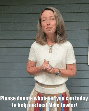 Beth Davidson: "Please donate whatever you can today to help me beat Mike Lawler!"