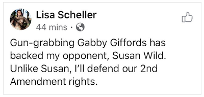 "Gun-Grabbing Gabby Giffords has backed my opponent, Susan Wild. Unlike Susan, I'll defend our 2nd Amendment Rights" - Lisa Scheller