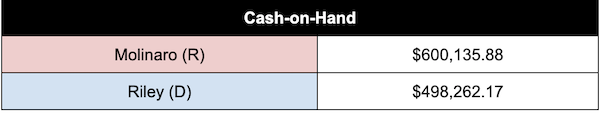 Molinaro (R)  $600,135.88 Riley (D) $498,262.17