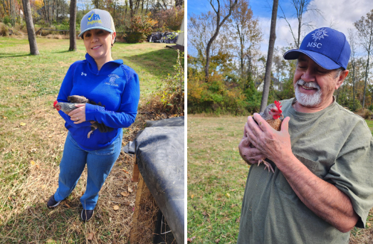 Photos of Carol with chickens