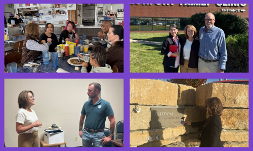 Shannon's November Photo Dump