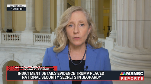 Abigail Spanberger on MSNBC