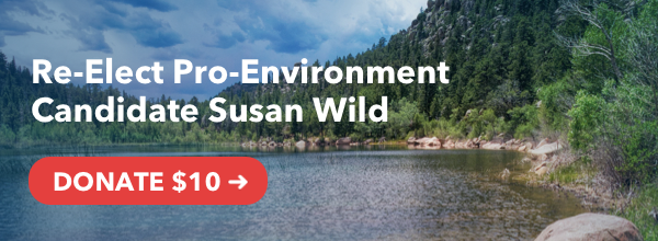 Re-Elect Pro-Environment Candidate Susan Wild - Donate $10