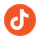 Tiktok Icon