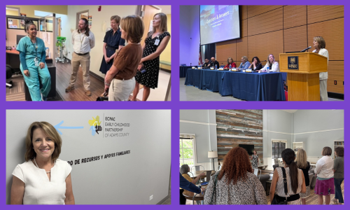 Photos of Shannon on the campaign trail