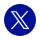 X Icon