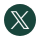 X Icon