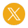 X Icon