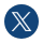 X Icon