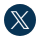 X Icon