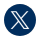 X Icon