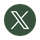 X Icon