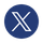 X Icon