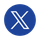 X Icon